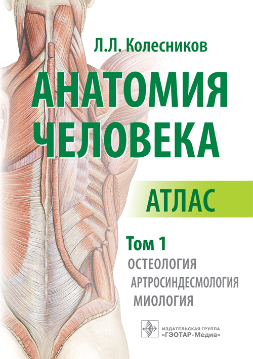 Анатомия человека. Атлас в 3-х томах. Том 1. Остеология, артросиндесмология, миология