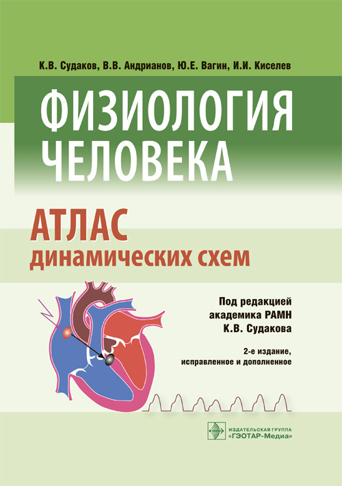 Физиология человека. Атлас динамических схем