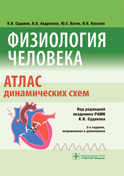 Физиология человека. Атлас динамических схем. Учебное пособие