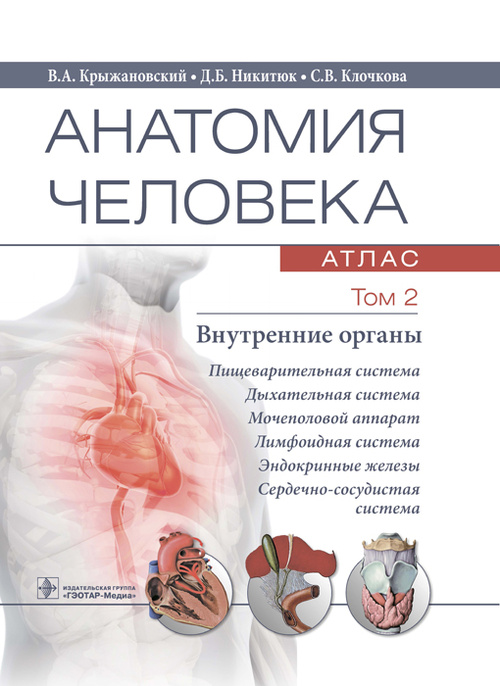 Анатомия человека. Атлас в 3-х томах. Том 2. Внутренние органы
