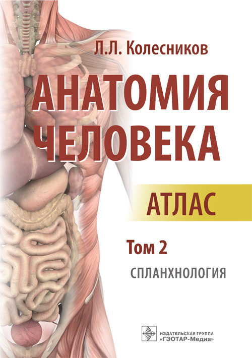 Анатомия человека. Атлас в 3 томах. Том 2. Спланхнология