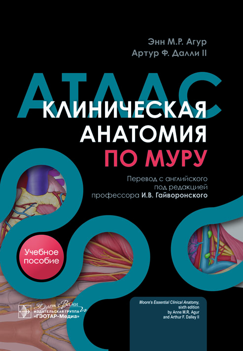 Клиническая анатомия по Муру