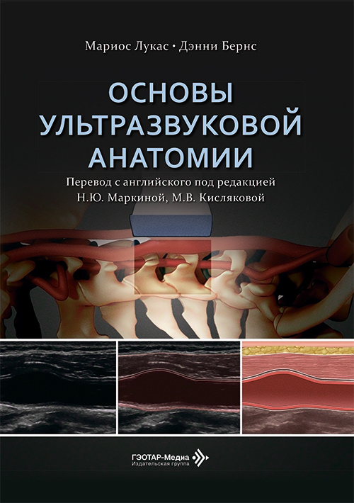 Основы ультразвуковой анатомии