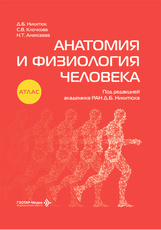 Анатомия и физиология человека. Атлас