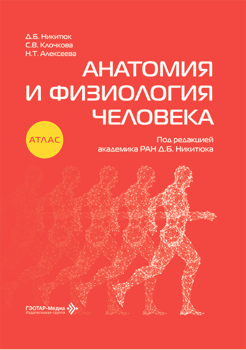 Анатомия и физиология человека. Атлас