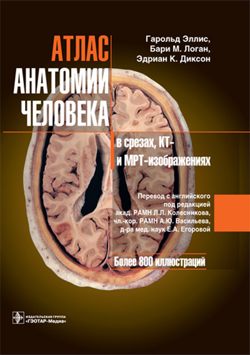 Атлас анатомии человека в срезах, КТ- и МРТ-изображениях