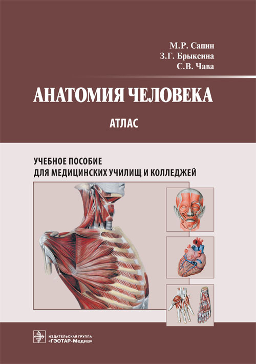 Анатомия человека. Атлас для медицинских училищ и колледжей