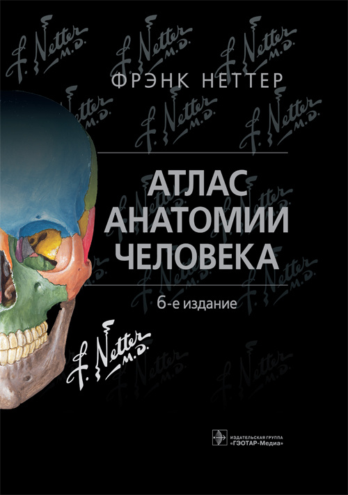 Атлас анатомии человека Неттера