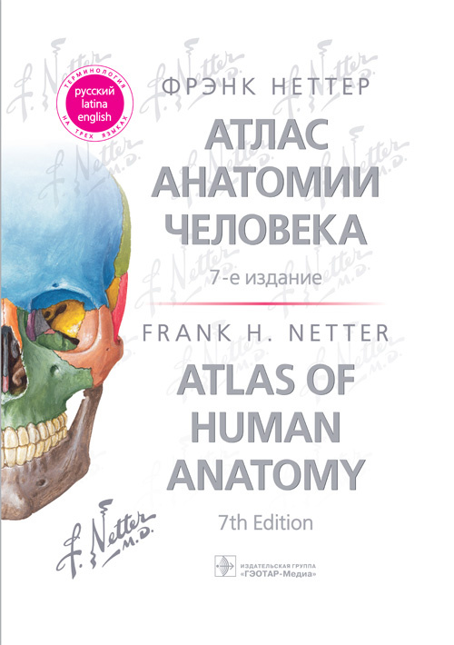 Атлас анатомии человека Неттера. Терминология на русском, латинском и английском языках