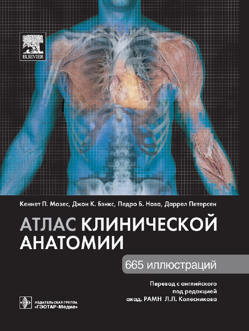 Атлас клинической анатомии. Учебное пособие