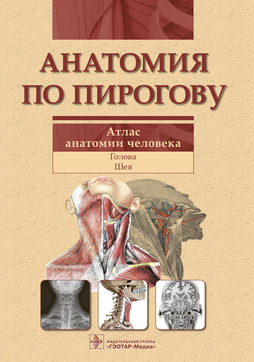 Анатомия по Пирогову. Атлас анатомии человека. В 3 томах. Том 2.