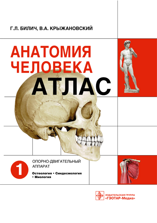 Анатомия человека. Атлас в 3 томах. Том 1. Опорно-двигательный аппарат