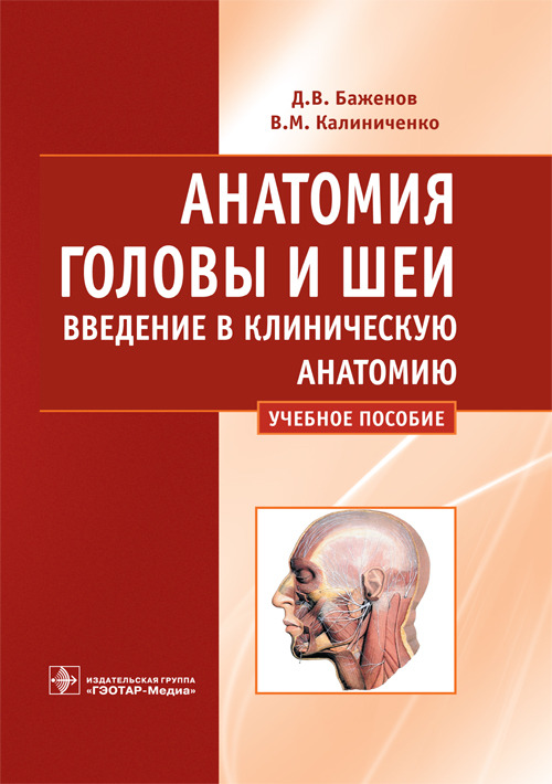 Анатомия головы и шеи. Введение в клиническую анатомию