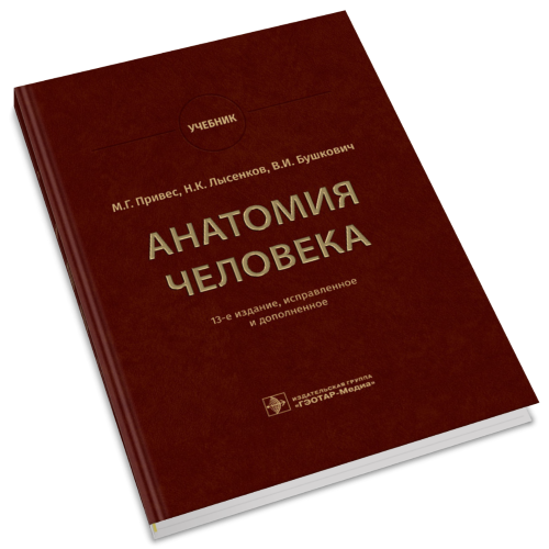 Анатомия человека. Учебник